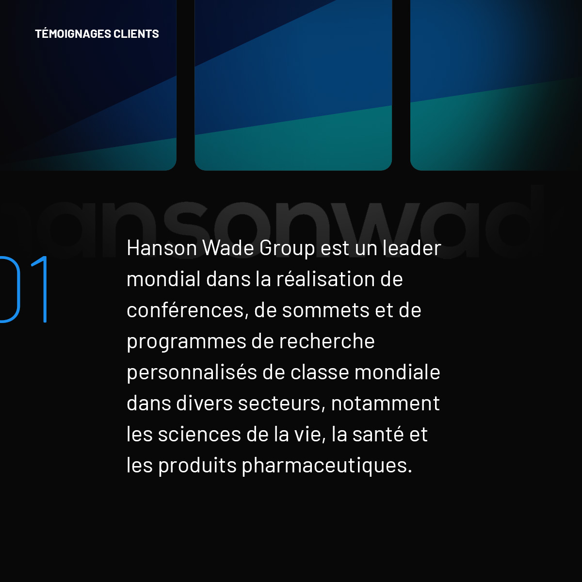 carosello-cs-hansonwadeFR_02